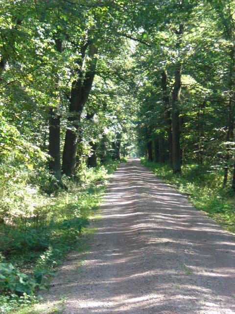 Hohe Straße