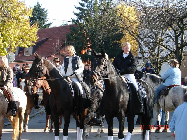 "Die schönen Großen!"