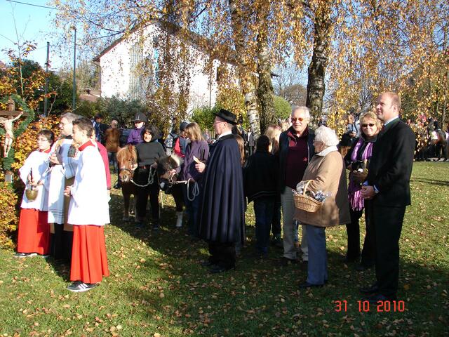 Ponys von der Ötz durften dabeisein!