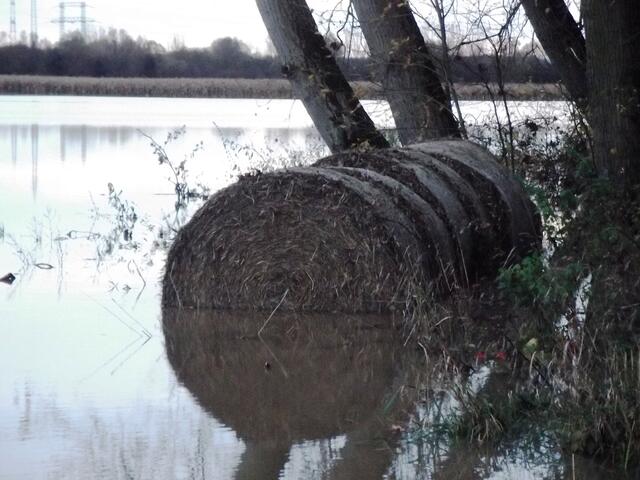 Strohballen