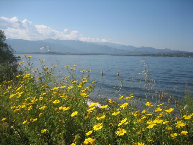 Blick über die Bucht von Porto Vecchio