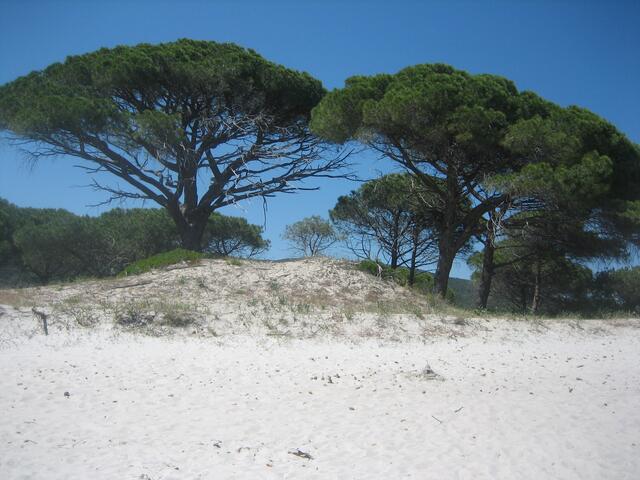 Südosten - Plage Palamboggia