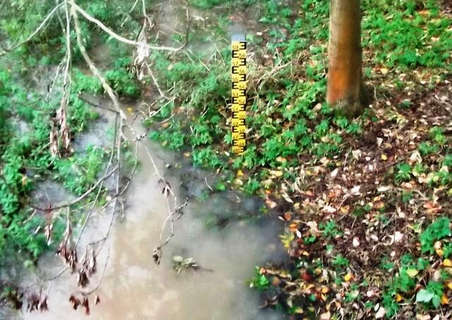 Der Wasserpegel in Koldingen an der Brücke