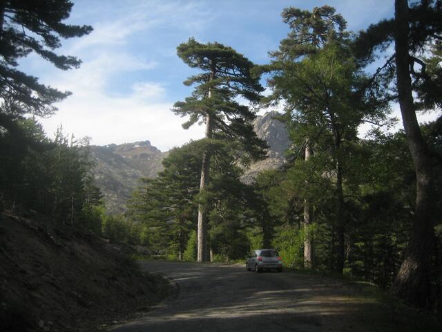 Hinter dem Col de Vergio