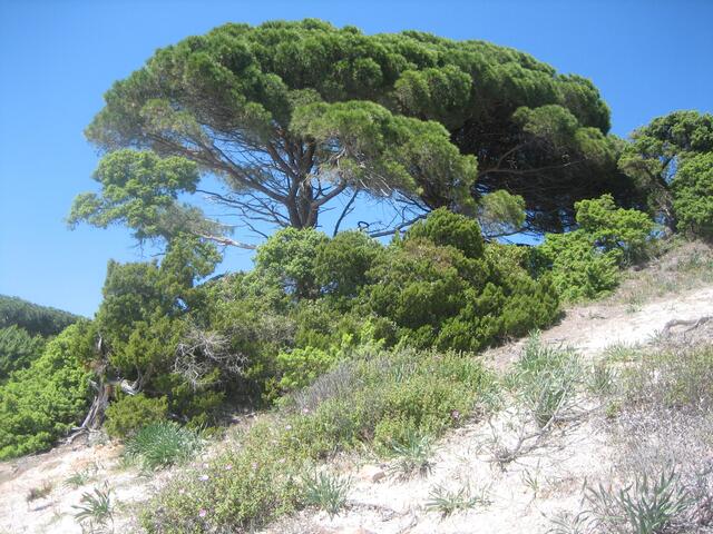 Südosten - Plage Palamboggia