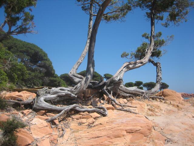 Südosten - Plage Palamboggia