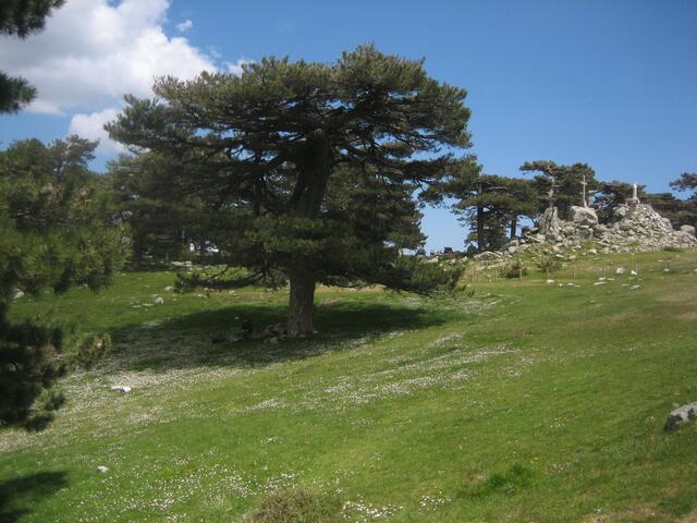 Col de Balvella