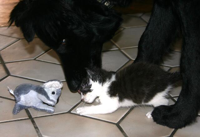 darf ich vorstellen... mein Baby!