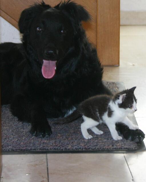 Also es ist ein Kater und er heißt Pepper- ganz wie die Mutter!