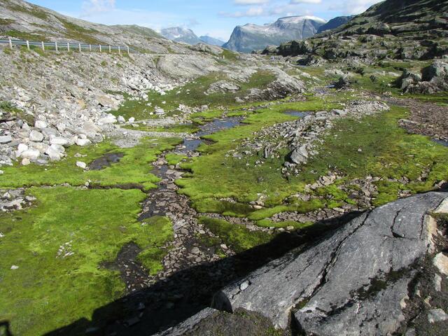 Auf dem Weg nach Geiranger