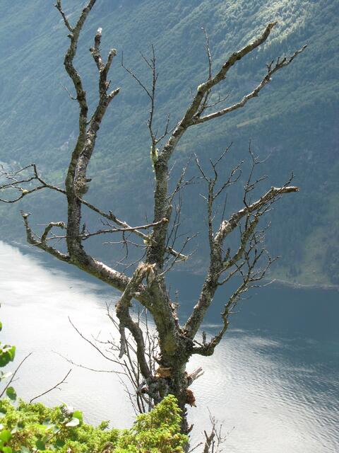 Natur