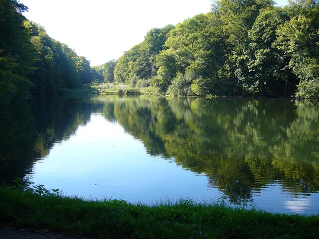 Klosterteiche