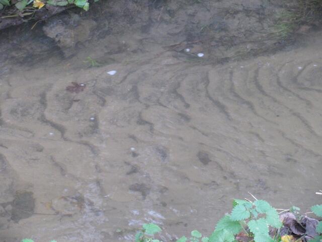 klares Wasser