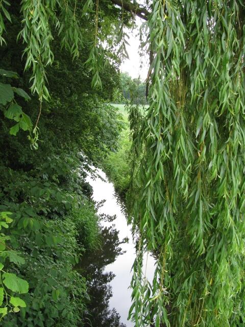 Rethmar im Sommer2010
