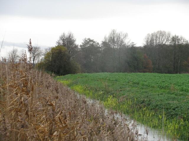 wieder als Kanal weiter