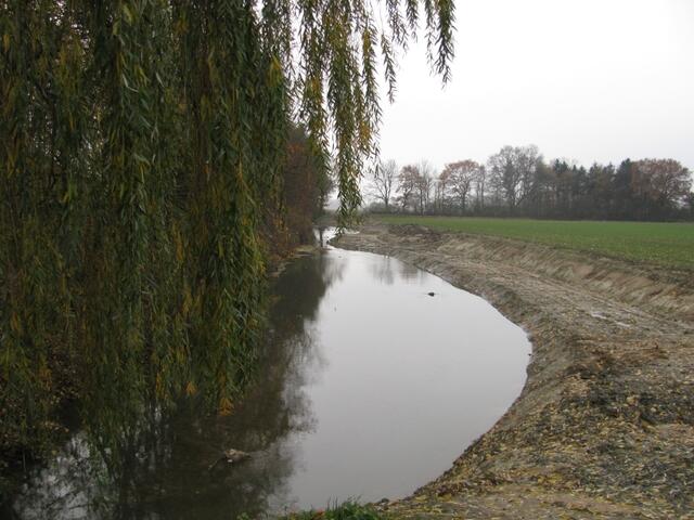 Rethmar im November2010