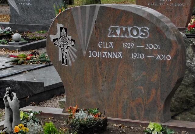 Rose zum/im Kreuz entfaltet - AMOS - Hände die Berührung suchen
