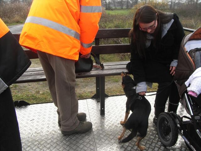dem Hund ist das nicht geheuer