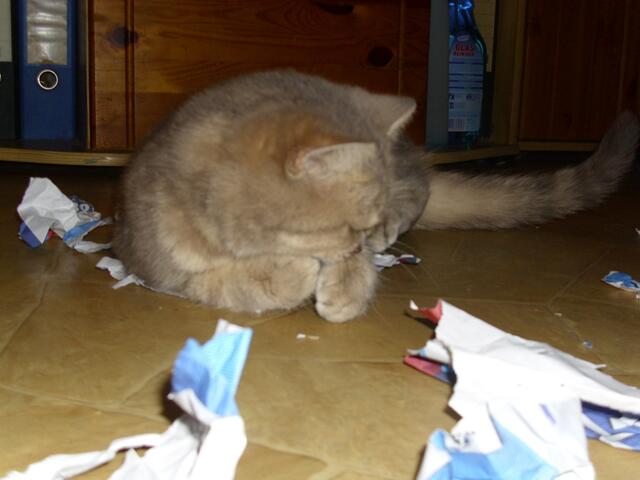 Fleissig...Cleo