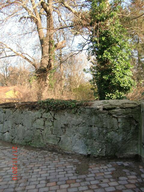 Eine alte Mauer, mit dem Baumbestand des Rittergutes