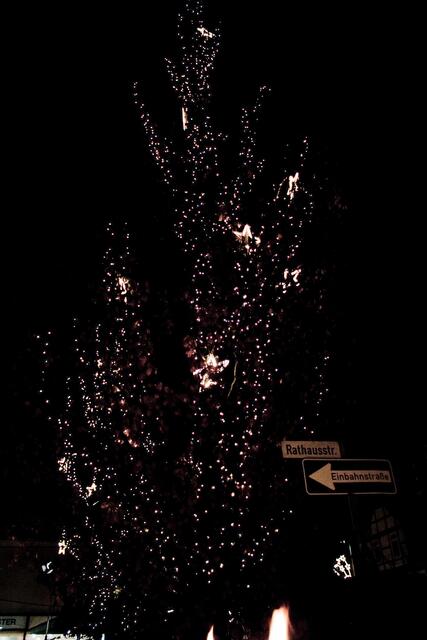 Der Baum ist erleuchtet