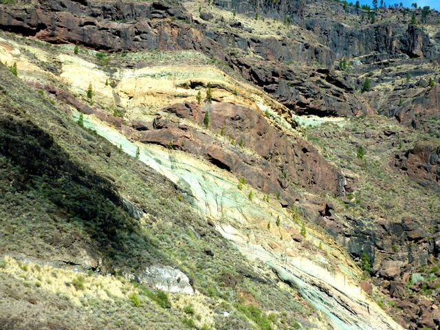 Pinienbewuchs im Gebirge. Die Gesteinsfarben werden durch den entsprechenden Mineraliengehalt bestimmt