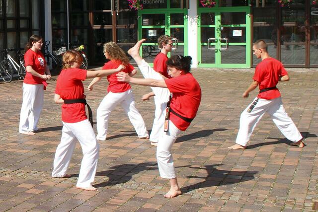 MEGA 2010 in Meitingen