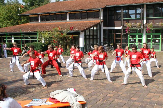 MEGA 2010 in Meitingen