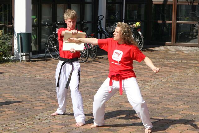 MEGA 2010 in Meitingen