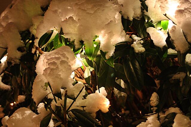 unter der Schneedecke verschwundenen Lichter
