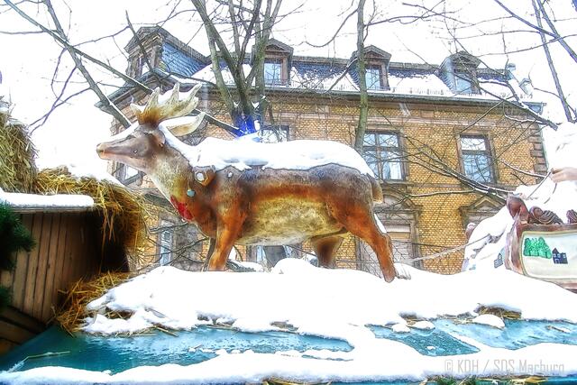 ... und jetzt noch auf das nächste Dach. | Foto: Klaus Dieter Hotzenplotz / SDS Marburg