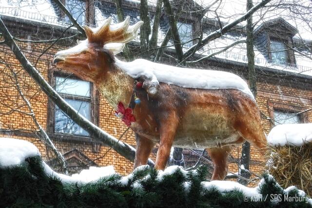 Verschnaufpause? | Foto: Klaus Dieter Hotzenplotz / SDS Marburg