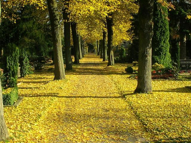 herbst in peine