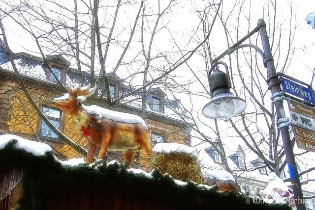 Hoch über den Köpfen rauscht das Gespann vorbei... | Foto: Klaus Dieter Hotzenplotz / SDS Marburg