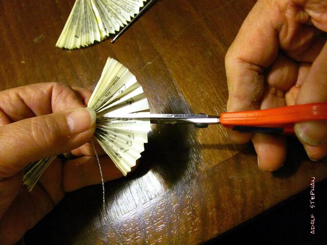 . .schneide  das OBERE DRITTEL bis zur Bindstelle ein.