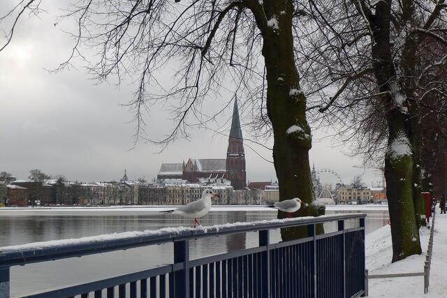Der Blick vom Nordwestufer über den Pfaffenteich auf das Stadtzentrum mit dem Dom