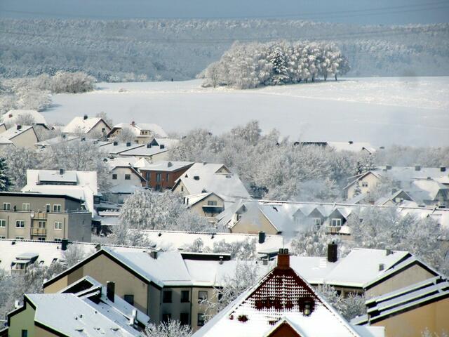 Heidegärtchen am 10.12.2010 am Vormittag