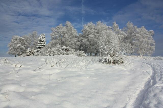 Heidegärtchen am 10.12.2010 gegen Mittag