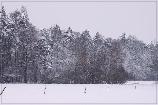 Sieh dir den unberührten Schnee an!