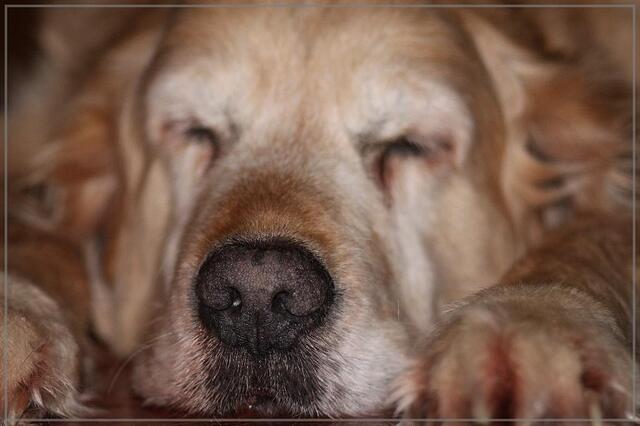 Otto...