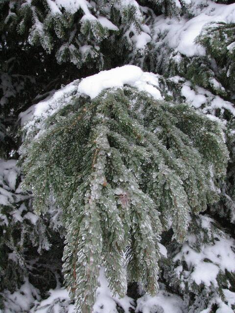 dicke Eisschichten sind zusätzlich zu tragen