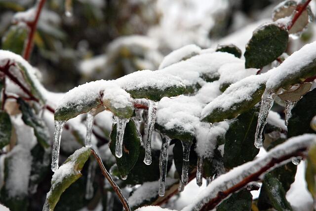 ... noch mehr Eiszapfen