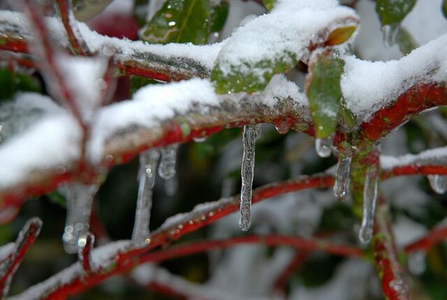 ... & zum Schluss nochmals Eiszapfen ...