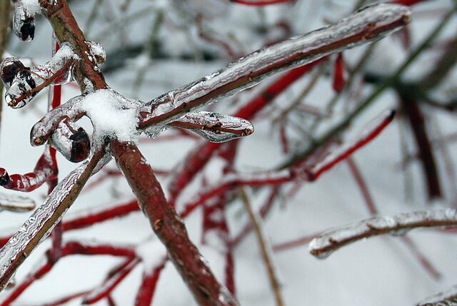 Leuchtendes Rot