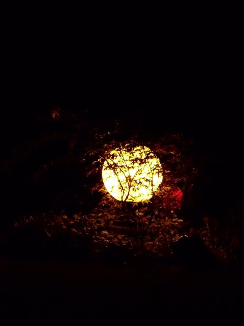 NUR DER MOND IST HIER AUF DER ERDE....? ODER..?