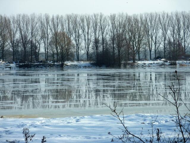 Spiegelungen im Wasser und Eis: Der Wietzesee