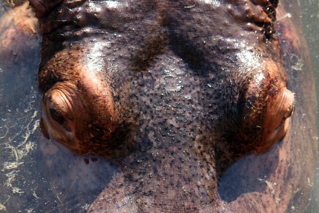 Oh, Mann. Is' dass hell hier ....