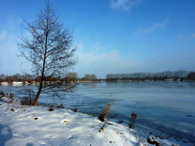 Strahlender Sonnenschein und blauer Himmel am Wietzesee