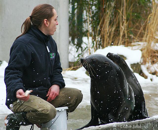 na wenigstens ist der Fisch gut