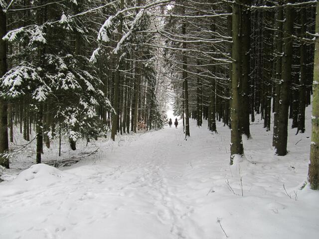 Reiter im Anmarsch ...